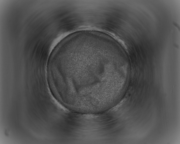 X0000091371239200709071319