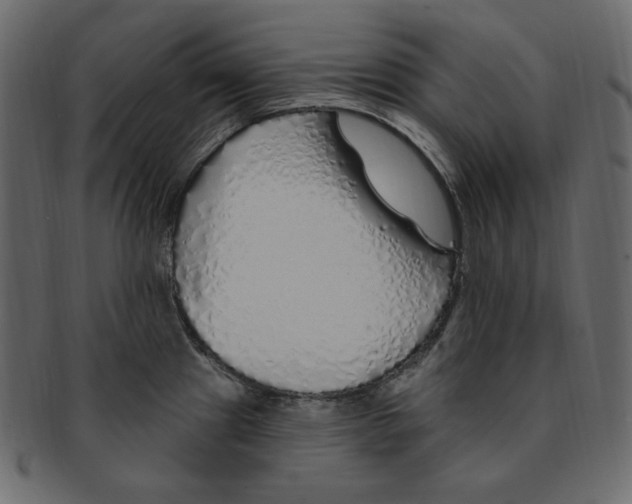 X0000091371241200709071319