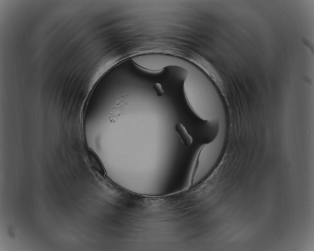 X0000091371242200709071319