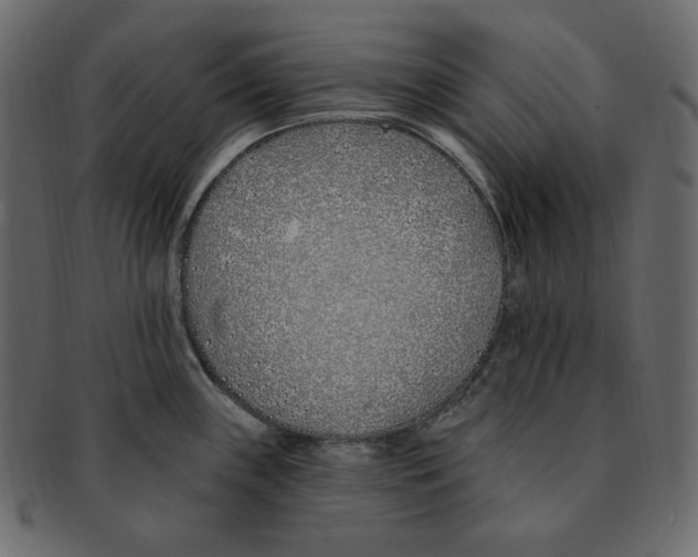 X0000091371243200709071319