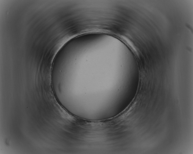 X0000091371244200709071319