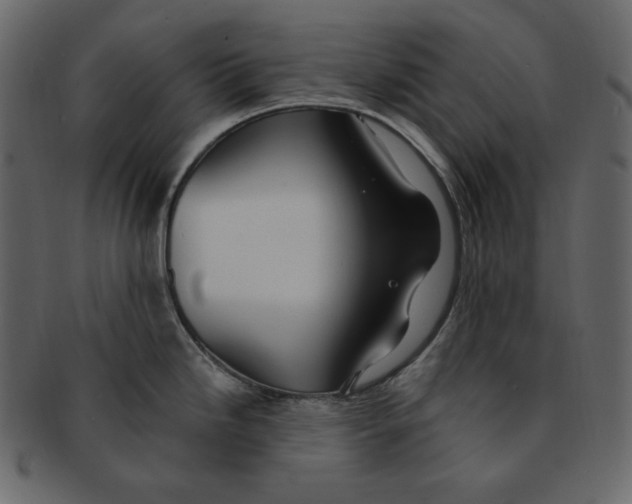 X0000091371246200709071319