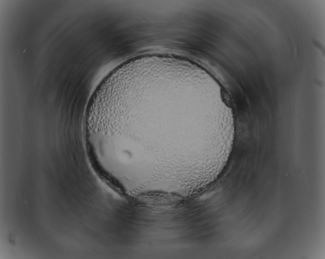 X0000091371247200709071319