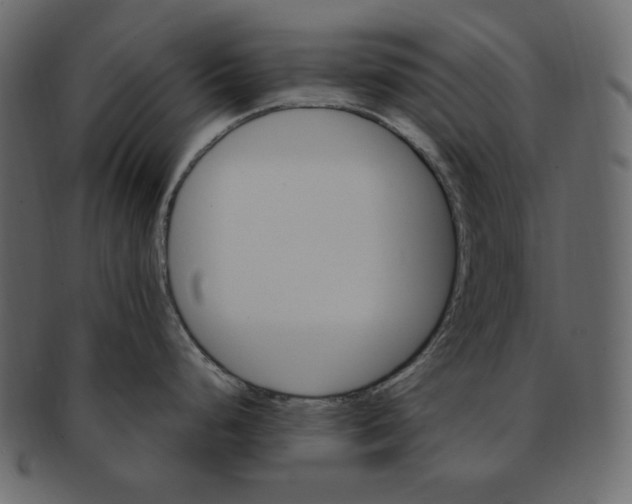 X0000091371248200709071319