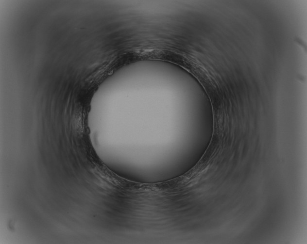 X0000091371250200709071318