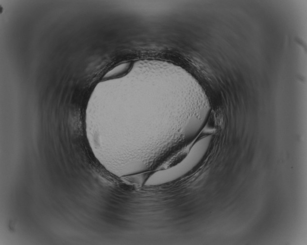 X0000091371252200709071318