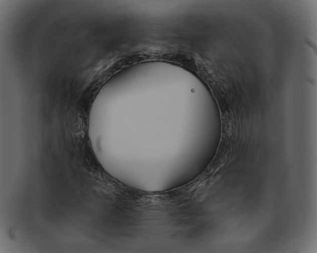 X0000091371253200709071318