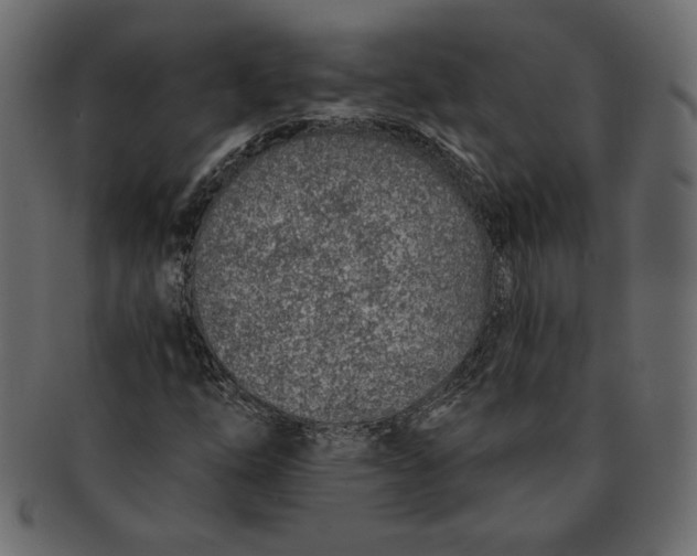 X0000091371254200709071318