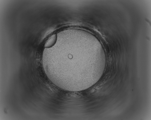 X0000091371255200709071318