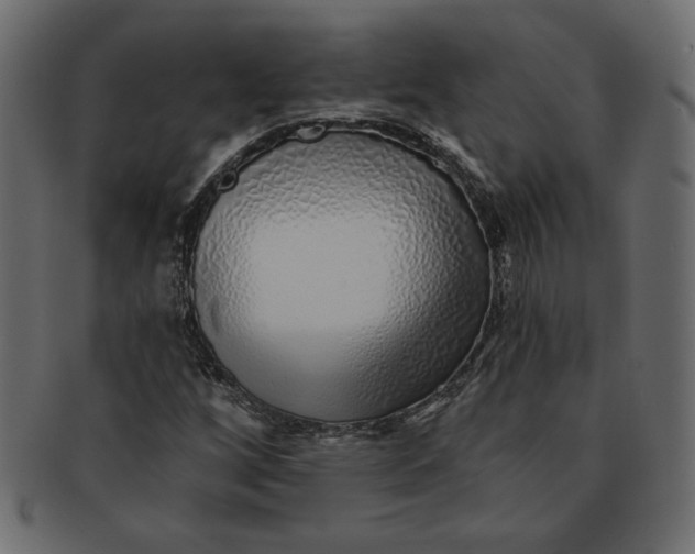 X0000091371256200709071318