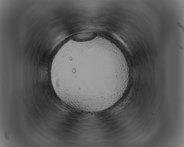 X0000091371259200709071318