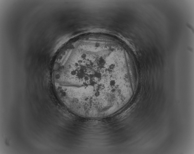 X0000091371263200709071318