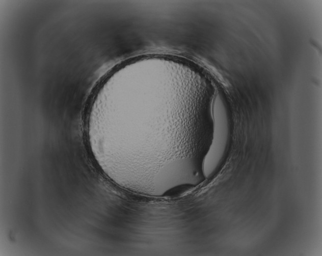 X0000091371264200709071318