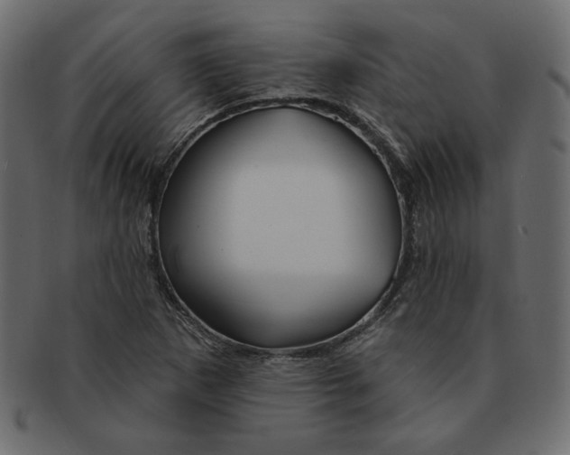 X0000091371265200709071318