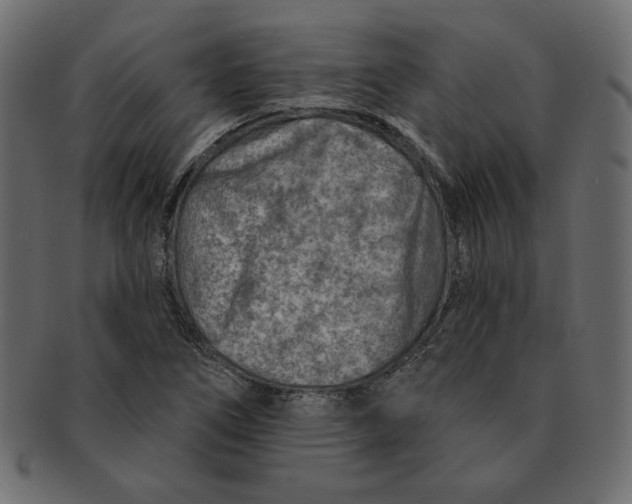 X0000091371266200709071318