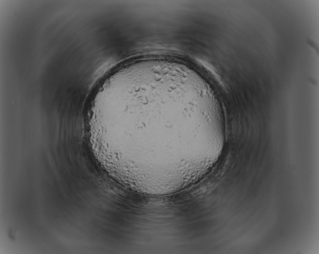 X0000091371267200709071318