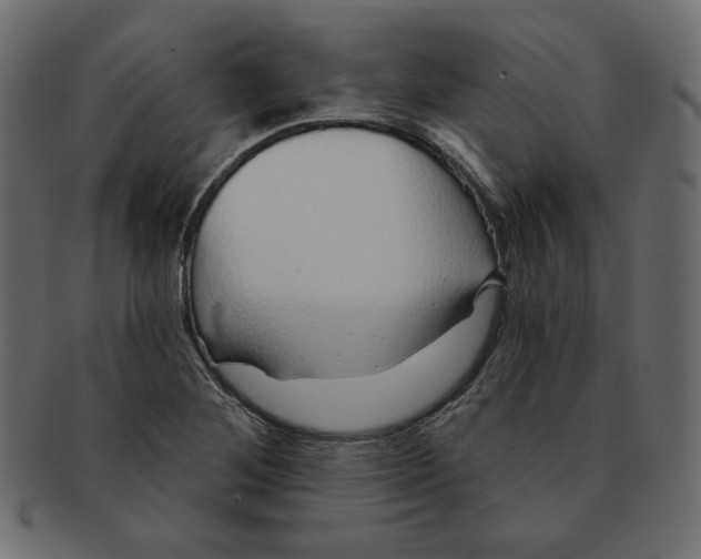 X0000091371268200709071318