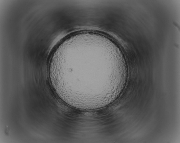 X0000091371271200709071317