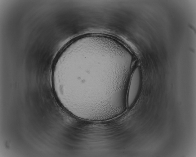 X0000091371272200709071317