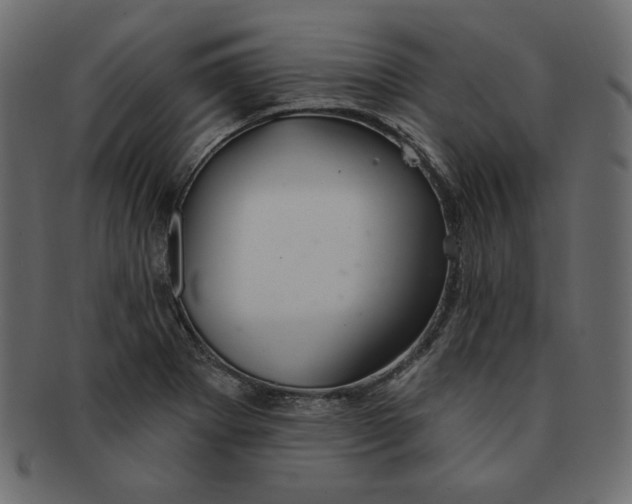 X0000091371273200709071317