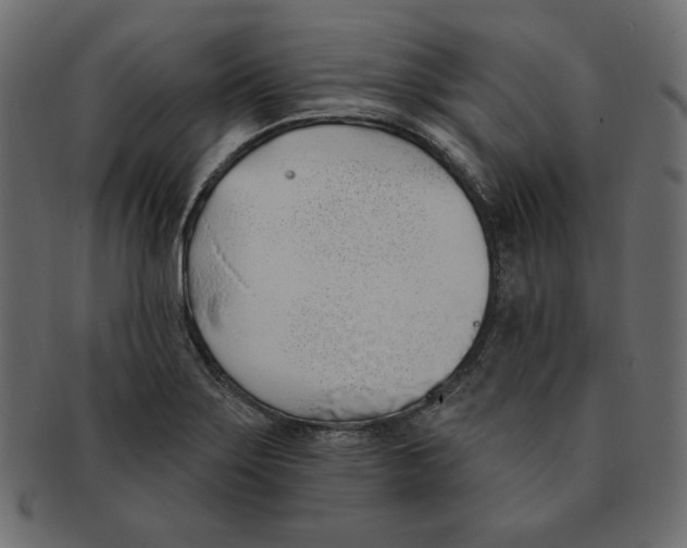 X0000091371275200709071317