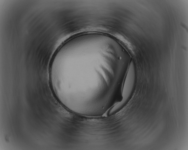 X0000091371280200709071317