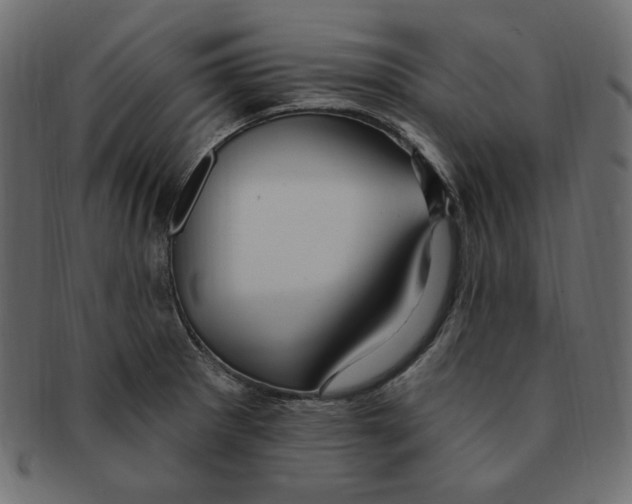 X0000091371281200709071317