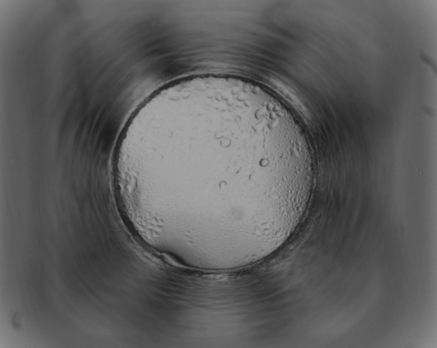 X0000091371283200709071317