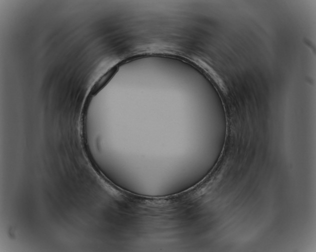 X0000091371285200709071317