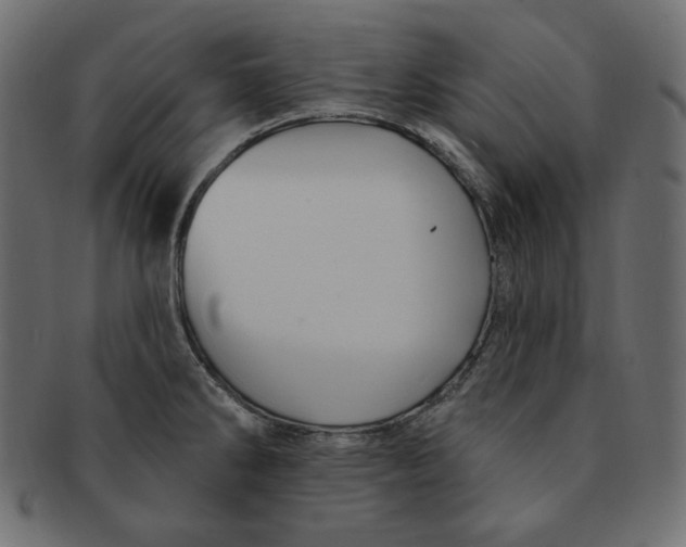 X0000091371286200709071317