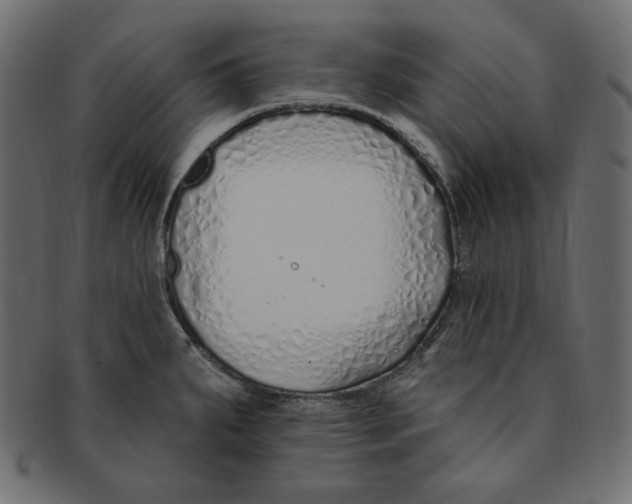 X0000091371287200709071317