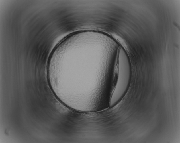 X0000091371288200709071317