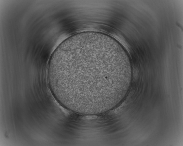 X0000091371290200709071317