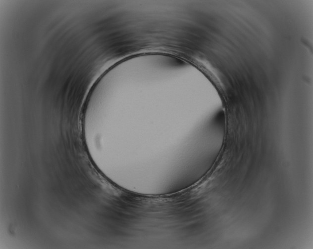 X0000091371292200709071317