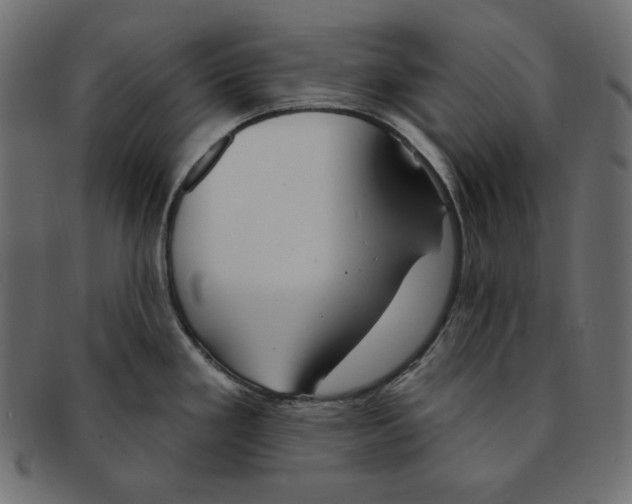 X0000091371293200709071317