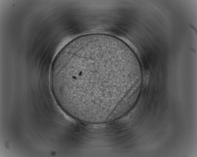 X0000091371294200709071317