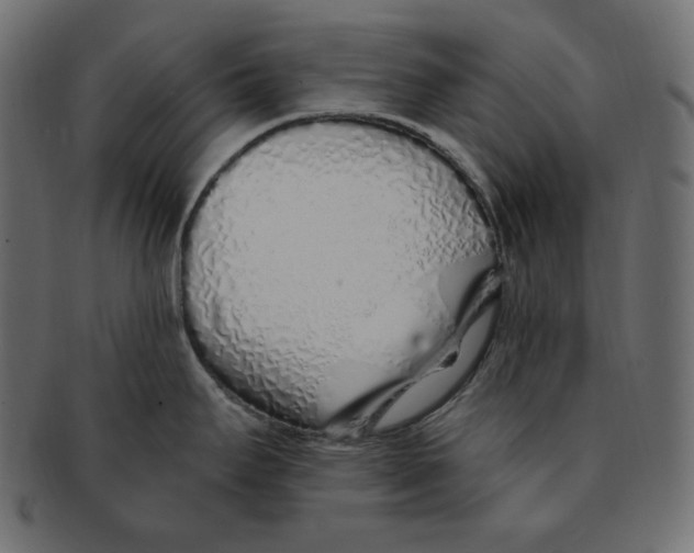 X0000091371295200709071317