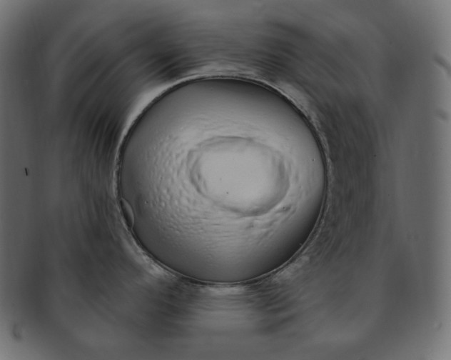 X0000091371296200709071317