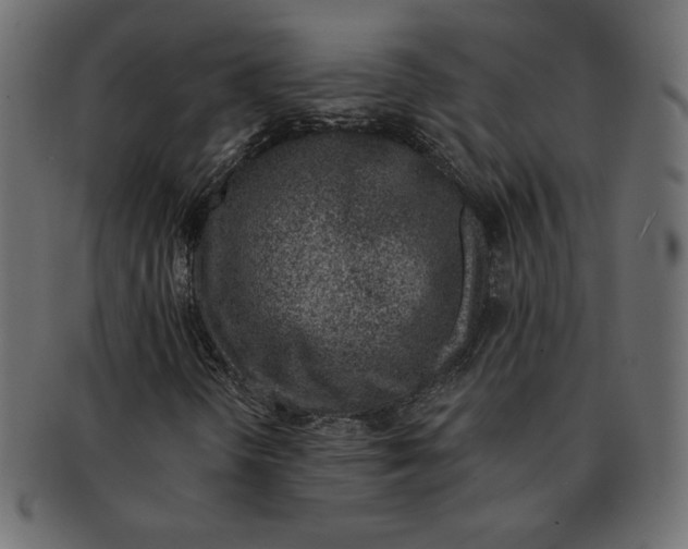 X0000091371298200709071317