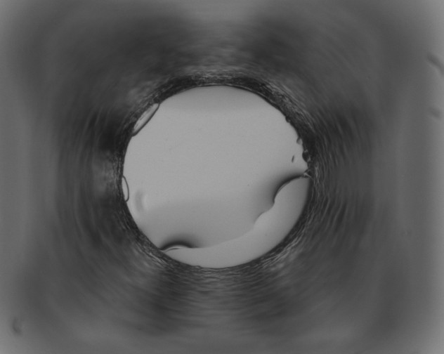 X0000091371300200709071317