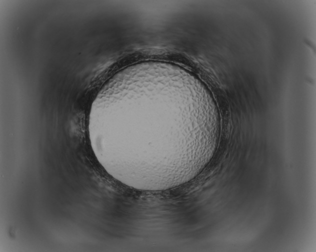 X0000091371301200709071317