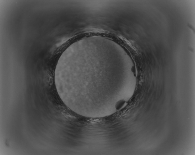 X0000091371303200709071317