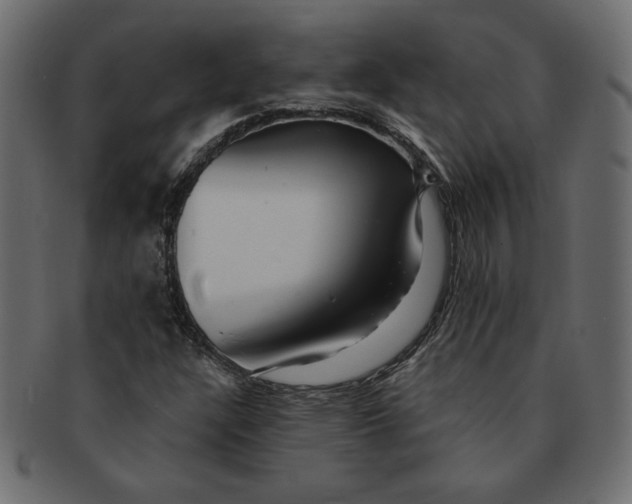 X0000091371304200709071317