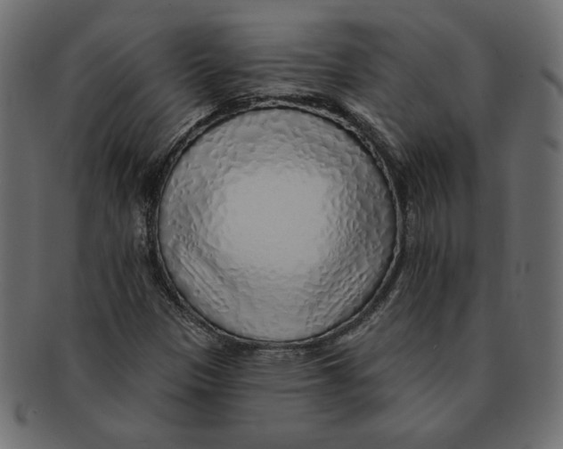 X0000091371305200709071317