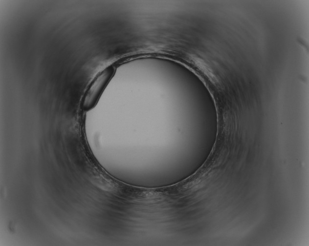 X0000091371308200709071317