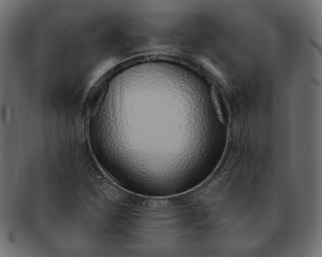 X0000091371310200709071317