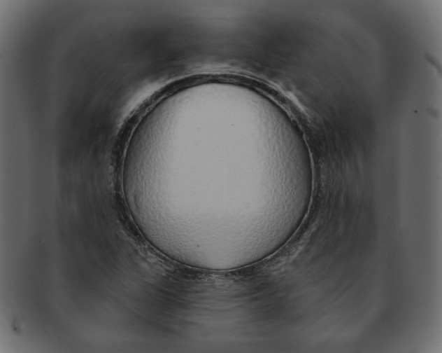 X0000091371311200709071317