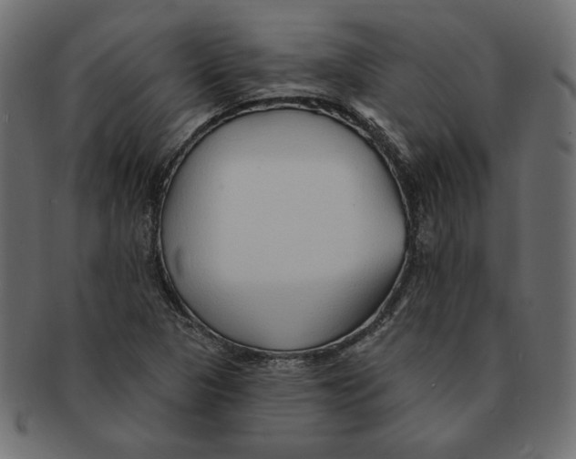 X0000091371313200709071317