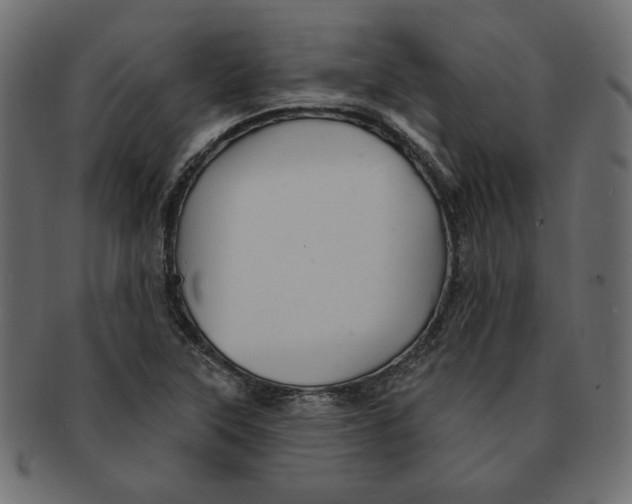 X0000091371315200709071317