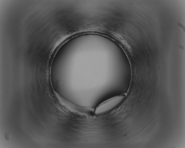 X0000091371316200709071317